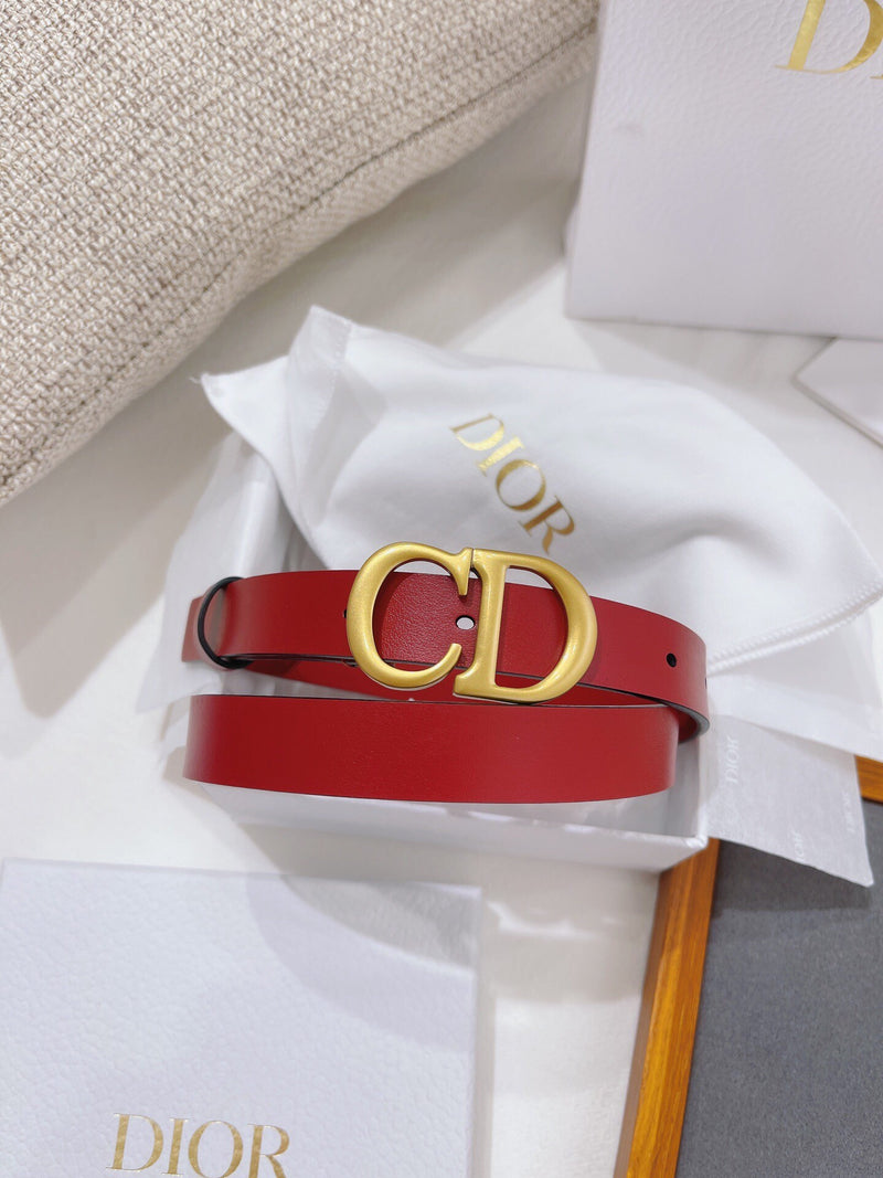 Dior - Ceinture CD (7 coloris) F