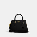 Mini Darcie Carryall