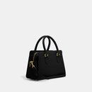 Mini Darcie Carryall