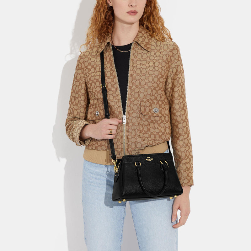 Mini Darcie Carryall