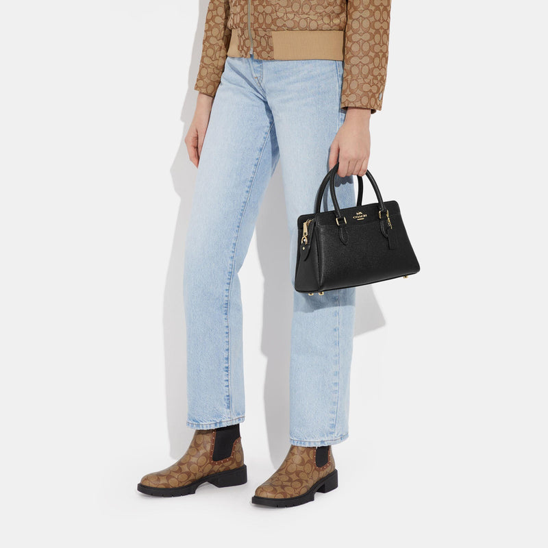 Mini Darcie Carryall