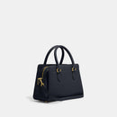 Mini Darcie Carryall