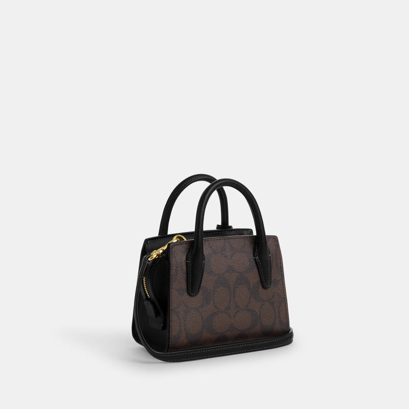 Andrea Mini Carryall In Signature Canvas