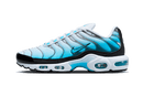 Nike® Air Max Plus Baltic Blue