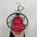 Balenciaga Track Rouge "Blood"